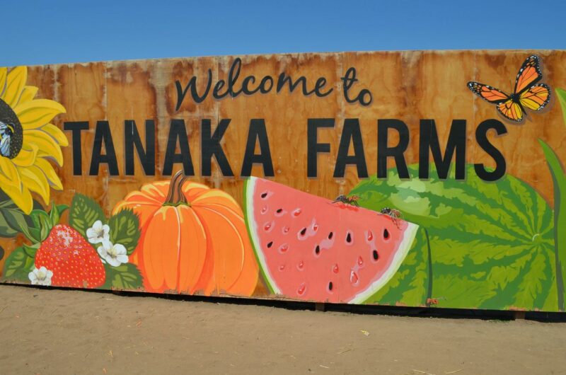 first-field-trip-of-2019-tanaka-farms
